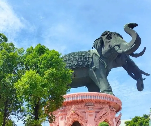 入境卡(TDAC)对护照有要求吗